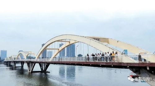 淯阳桥开放首日,南阳市民纷纷打卡留念