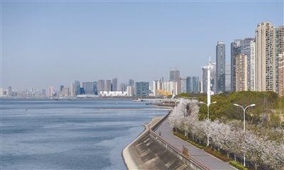 最美 四月天|滨江|杭州市_网易订阅