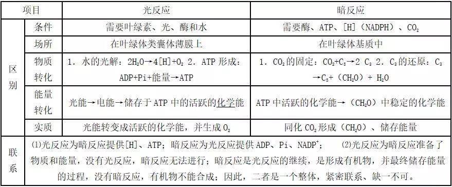 高中生物必背知识点:光合作用考点解读