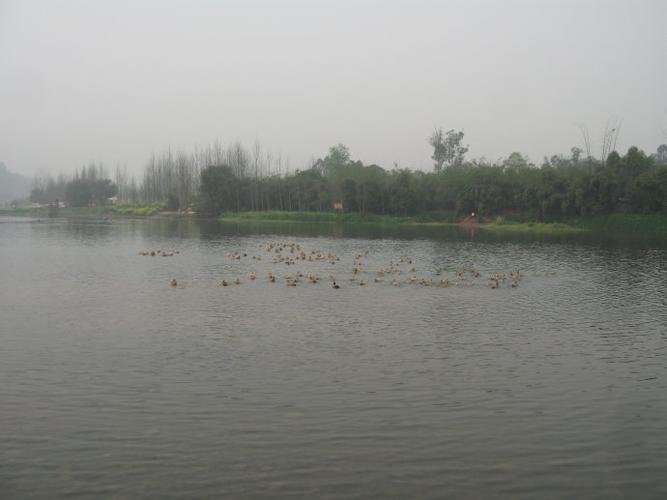 如梦似幻峨眉河