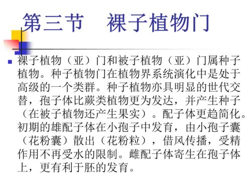 《裸子植物门麻黄》ppt课件.ppt