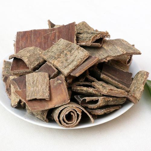 杜仲的功效与作用_杜仲药酒的功效与作用_中药杜仲的功效与作用及食用