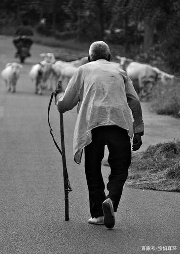 今天同事休息,要回家看看年迈的父母,我却伤心地哭了