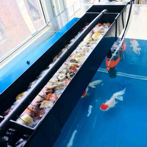 屋滤材大滴虑底滤水族鱼缸过滤器盒双层消声管上部壁挂式流水黑色