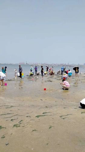 鲅鱼圈旅游赶海小攻略,鲅鱼圈旅游攻略 - 马蜂窝