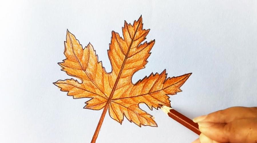 手绘罗伯特帕汀森视频过程 ——by@洪之源danny 工具:康颂素描