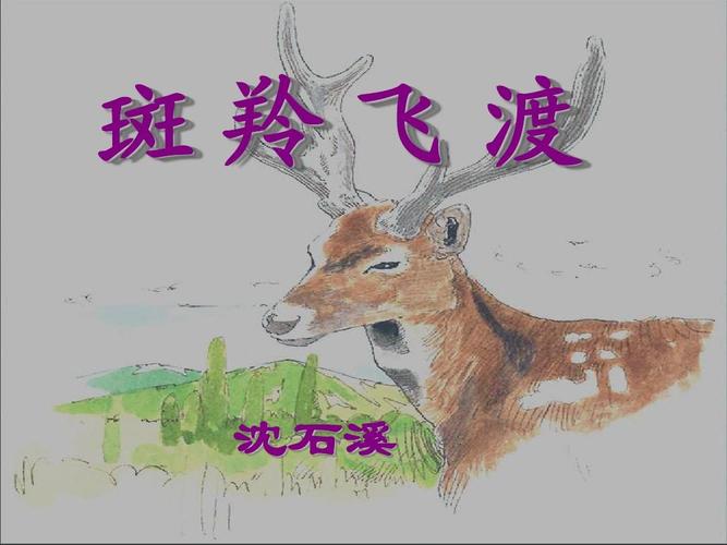 广东省珠海九中七年级语文下册《第27课 斑羚飞渡》课件 新人教版