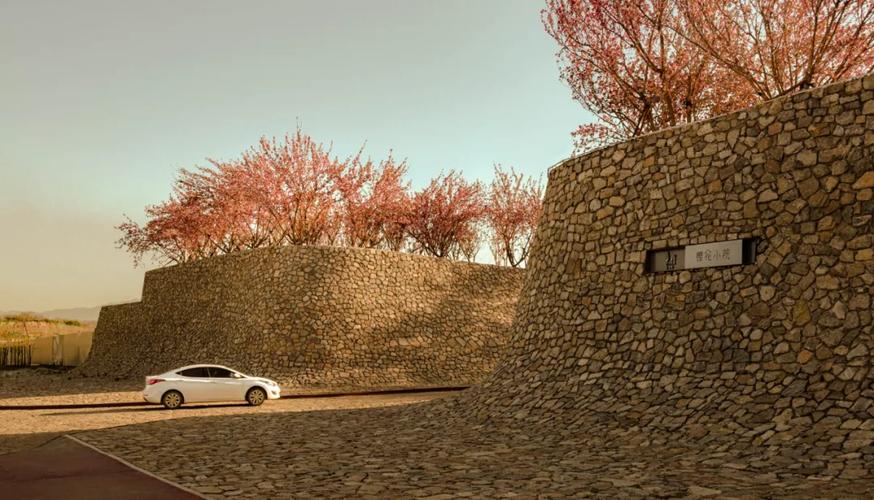 日照白鹭湾樱花小院 | 山水比德