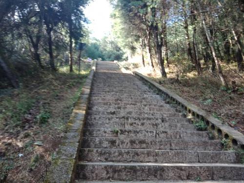 龙马山一日游