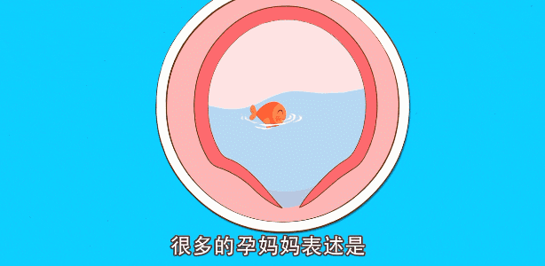 胎儿蠕动是胎动吗