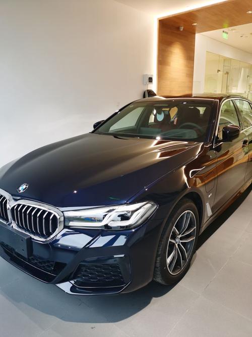bmw535le提车简单作业防一血