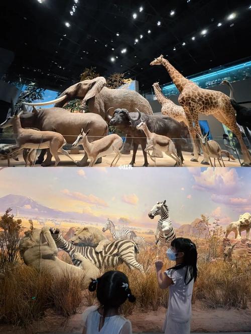 浙江自然博物馆&打卡攻略分享_休闲玩乐_恐龙_海洋馆