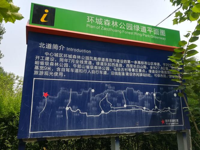 骑行枣庄环城森林绿道