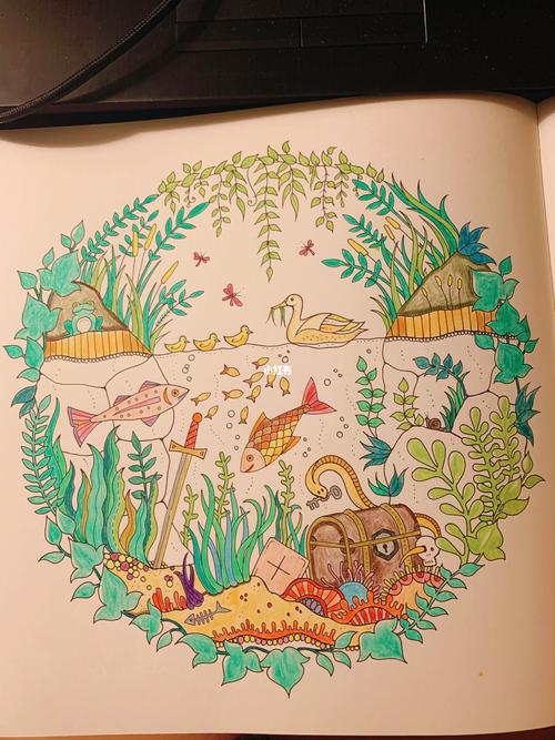 魔法森林 秘密花园 填色书_魔法森林怎么样_秘密花园