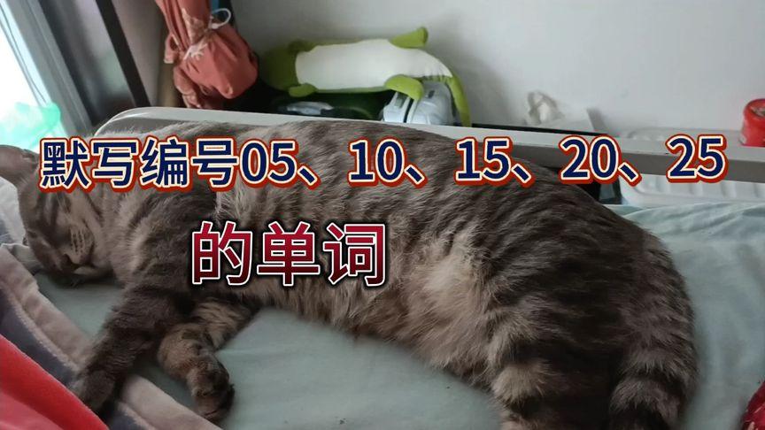默写编号是05,10,15,20,25的单词