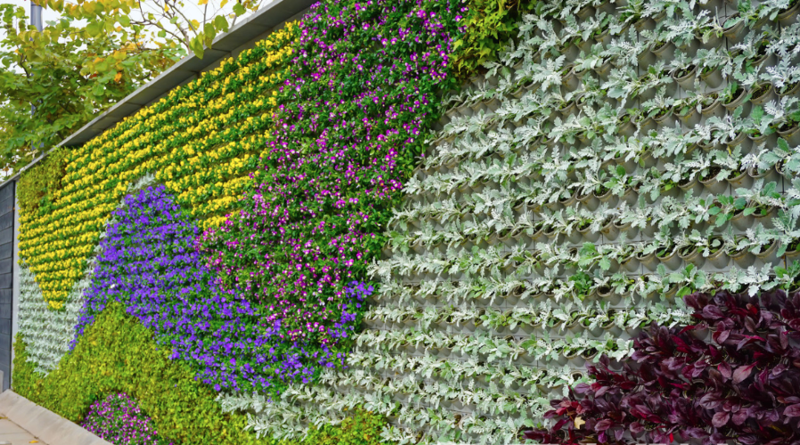 郑州植物墙_室内植物墙_郑州仿真植物墙_垂直立体绿化