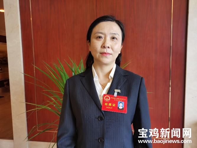 宝鸡市人大代表马海燕:发挥自身优势 做优凤县红色品牌