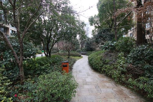 杭州小区 拱墅小区 桥西小区 城市风景