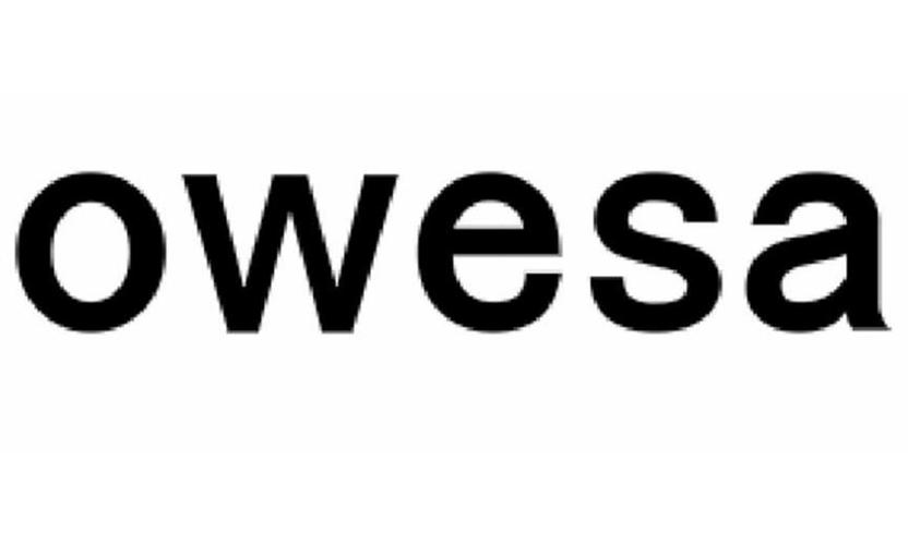 owesa 商标公告