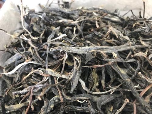 百花潭古树茶