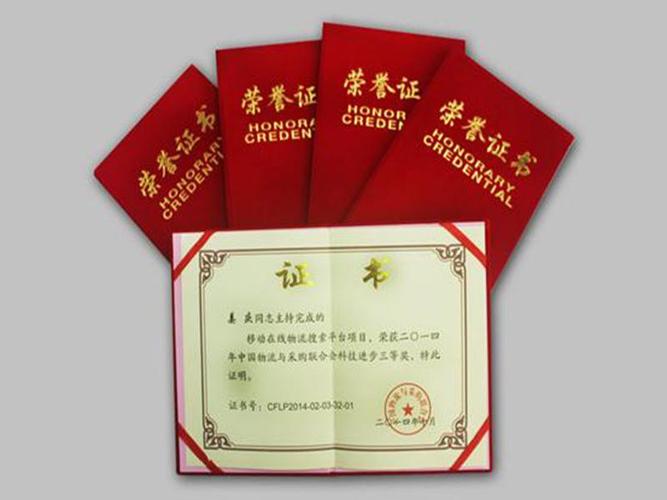 国家电力公司科学技术进步奖