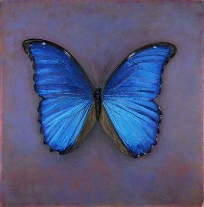 蝴蝶图片大全唯美头像大全