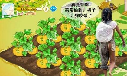 09热门的搞笑qq农场表情大全