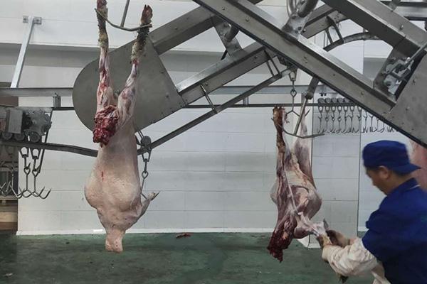 钦州屠宰机械报价