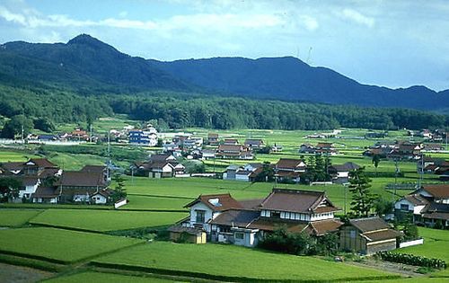 实拍日本农村房让你看傻眼 中国农村情何以堪_房产频道_凤凰网
