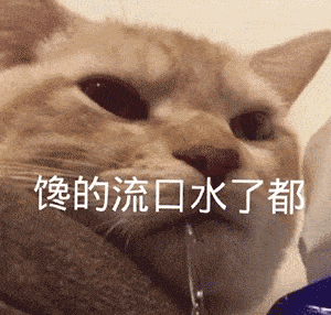 表情包图片大全感情淡了我懂