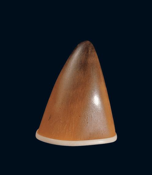 犀牛角的种类及鉴别方法