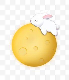 【中秋节】中秋节素材_最新中秋节图片素材-黄蜂网素材 - 大美工damei