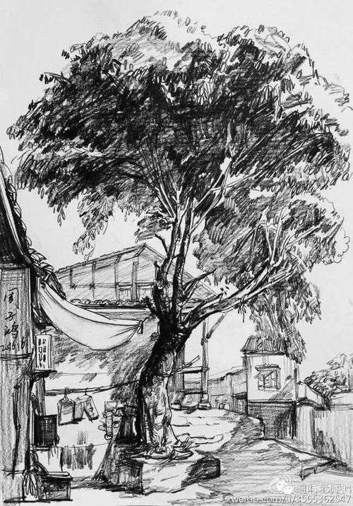 速写老师绝对干的速写风景