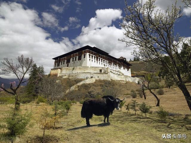 翻越喜马拉雅山到全球最幸福的国度不丹旅游将不再是幻想了