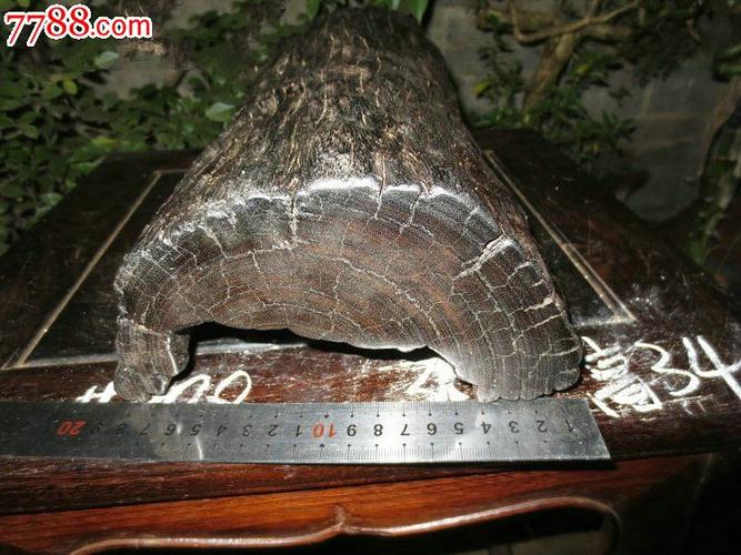 阴沉木【乌木】铁力木随型摆件(998)