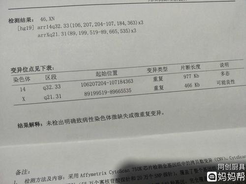 羊水穿刺结果
