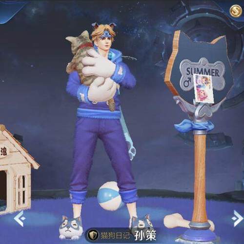 王者荣耀孙策的猫狗皮肤简笔画