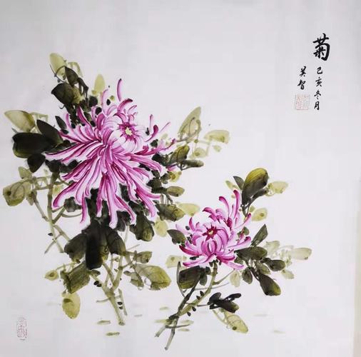 三尺斗方,写意菊花
