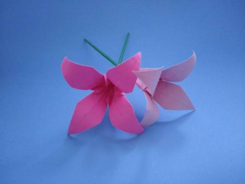 手工纸花制作(教你用纸折漂亮的花朵)