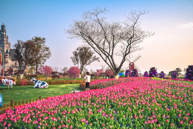 春季赏花好去处在中国郁金香第一花海荷兰花海遇见爱
