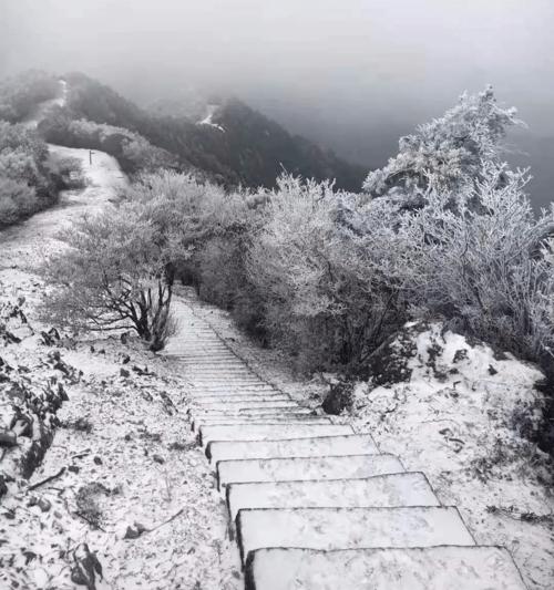 全温州今年最美的雪景在这里