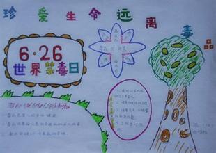 搜索珍惜生命的手抄报 珍惜生命的手抄报