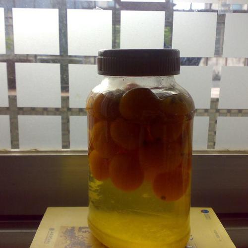 金桔酒,方法简单,味道巴适