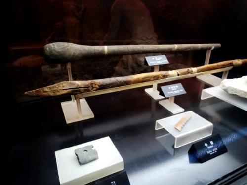 河姆渡人使用什么工具