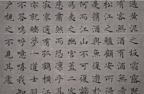 赤壁赋楷书书法作品