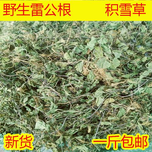 雷公根
