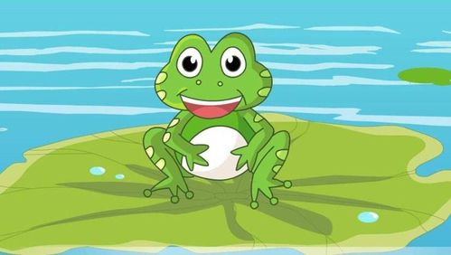 青蛙,脊索动物门,两栖纲,无尾目,蛙科的两栖动物,成年无尾,产卵于水中