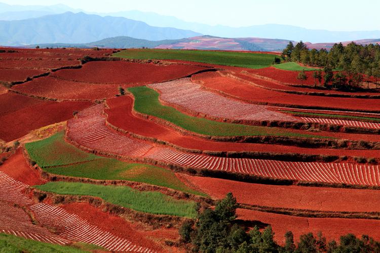 云南东川红土地-艳丽炫目