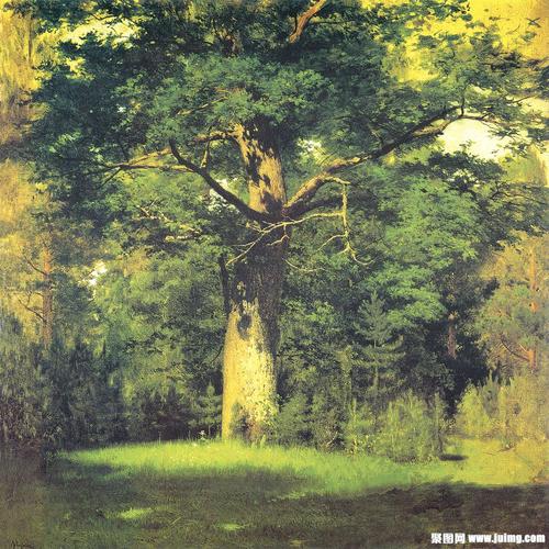 大树风景油画