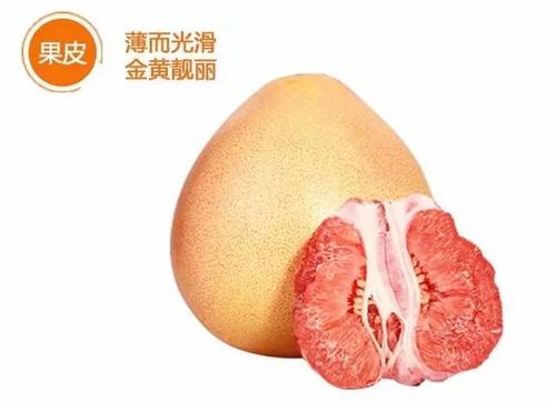【客家特产】梅州蜜柚